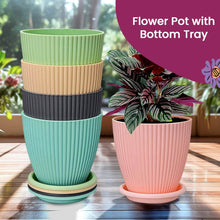 Plastic Flower Pot with Bottom Tray (5 Pcs Set) - Super Bachat