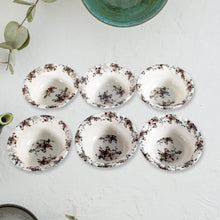 Opera High Quality Plastic Ice-Cream Bowl, Home & Kitchen Bowl for Sundae, Sweets, Snacks, Fruit, Pudding, Nuts or Dip, Serving Bowls (Set of 6 pc) - Super Bachat