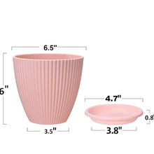 Plastic Flower Pot with Bottom Tray (5 Pcs Set) - Super Bachat